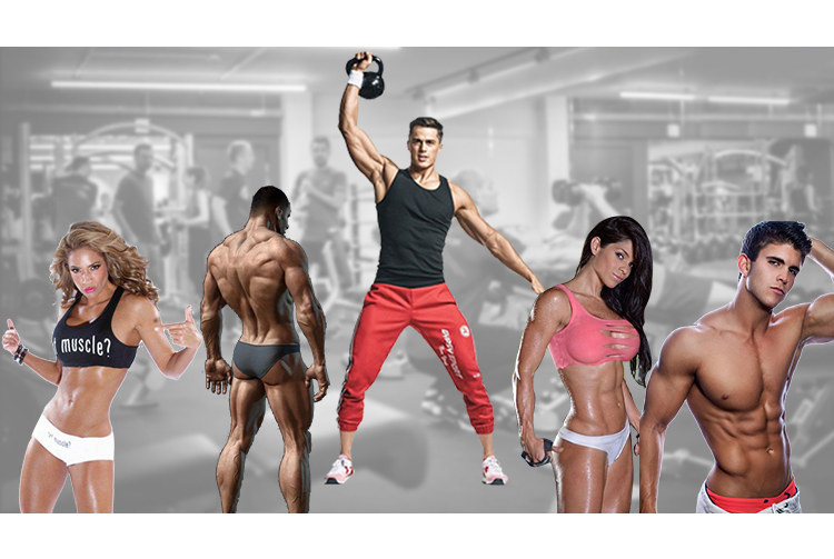 Sendor - Muscle Sendor- Muscle